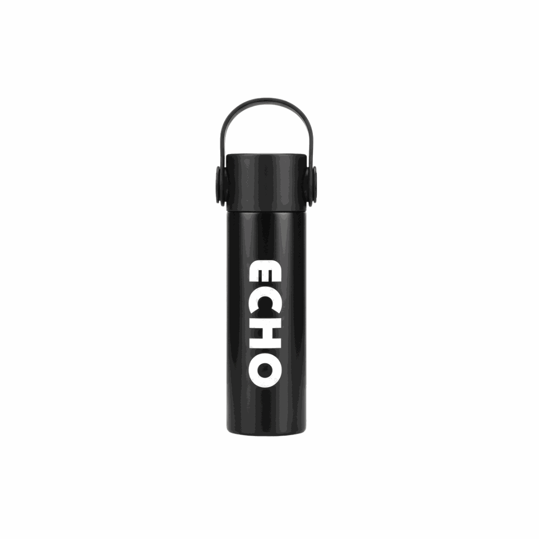 Echo of style