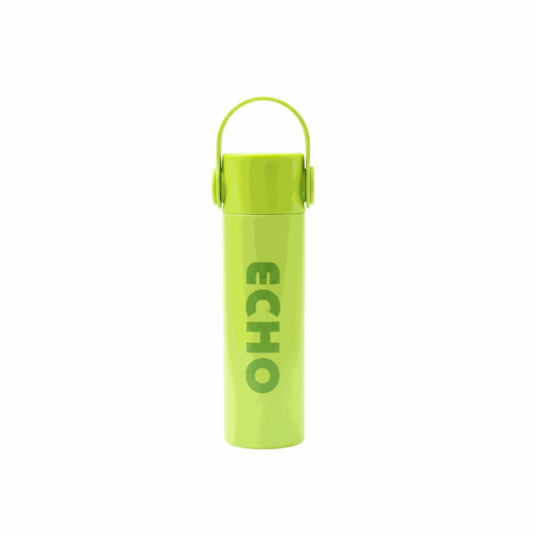 Echo of style