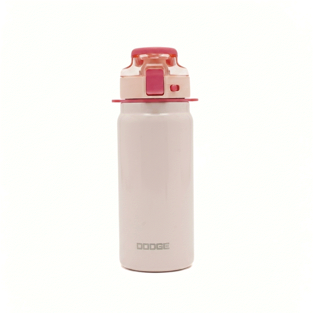 Dodge Blaze 620 stainless steel insulated water bottle with flip-top lid and carry handle