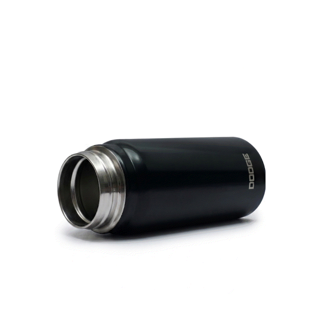 Dodge Blaze 620 stainless steel insulated water bottle with flip-top lid and fabric handle in black, silver, and pink colors.