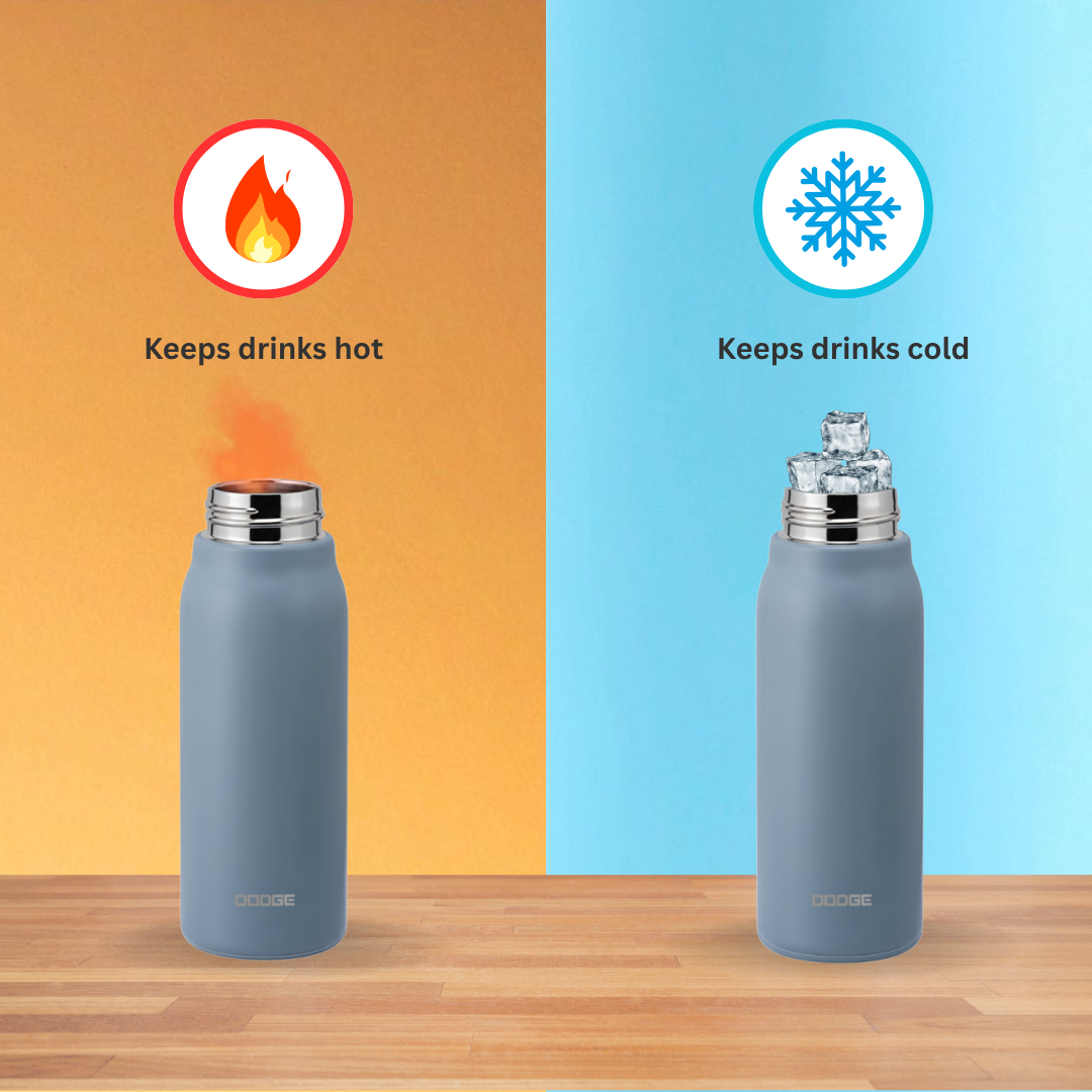 Dodge Fitness Charger 1700