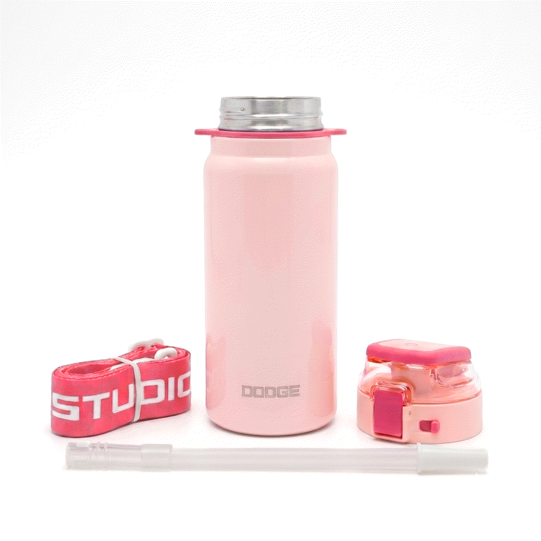 Dodge Blaze 620 stainless steel insulated water bottle with push-button flip lid and integrated handle