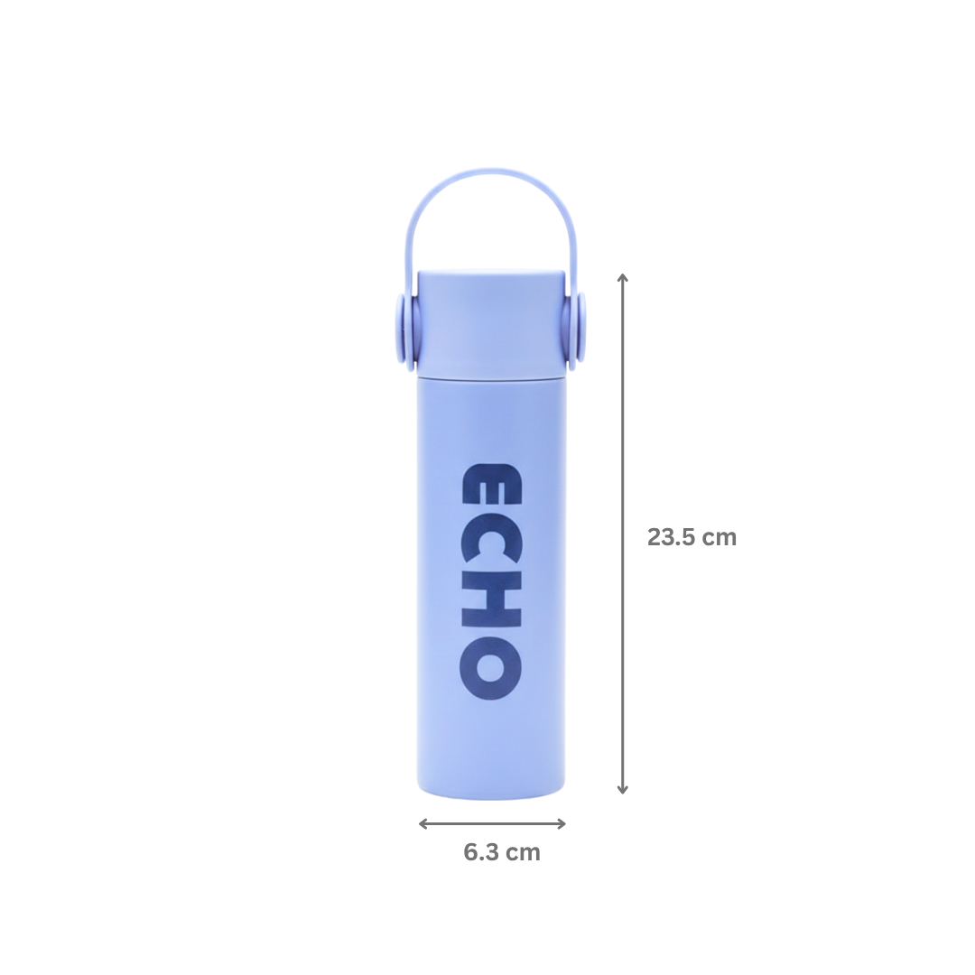 Echo of style
