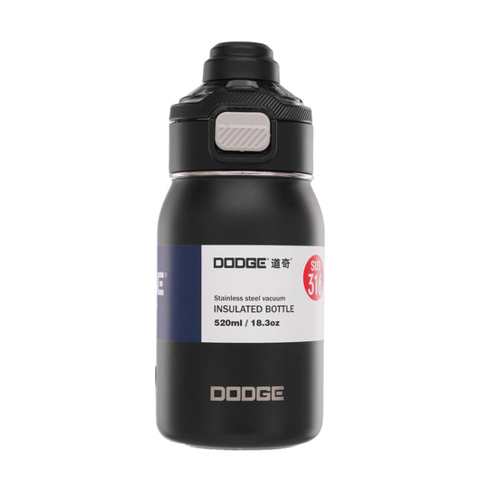 Dodge Chill 520