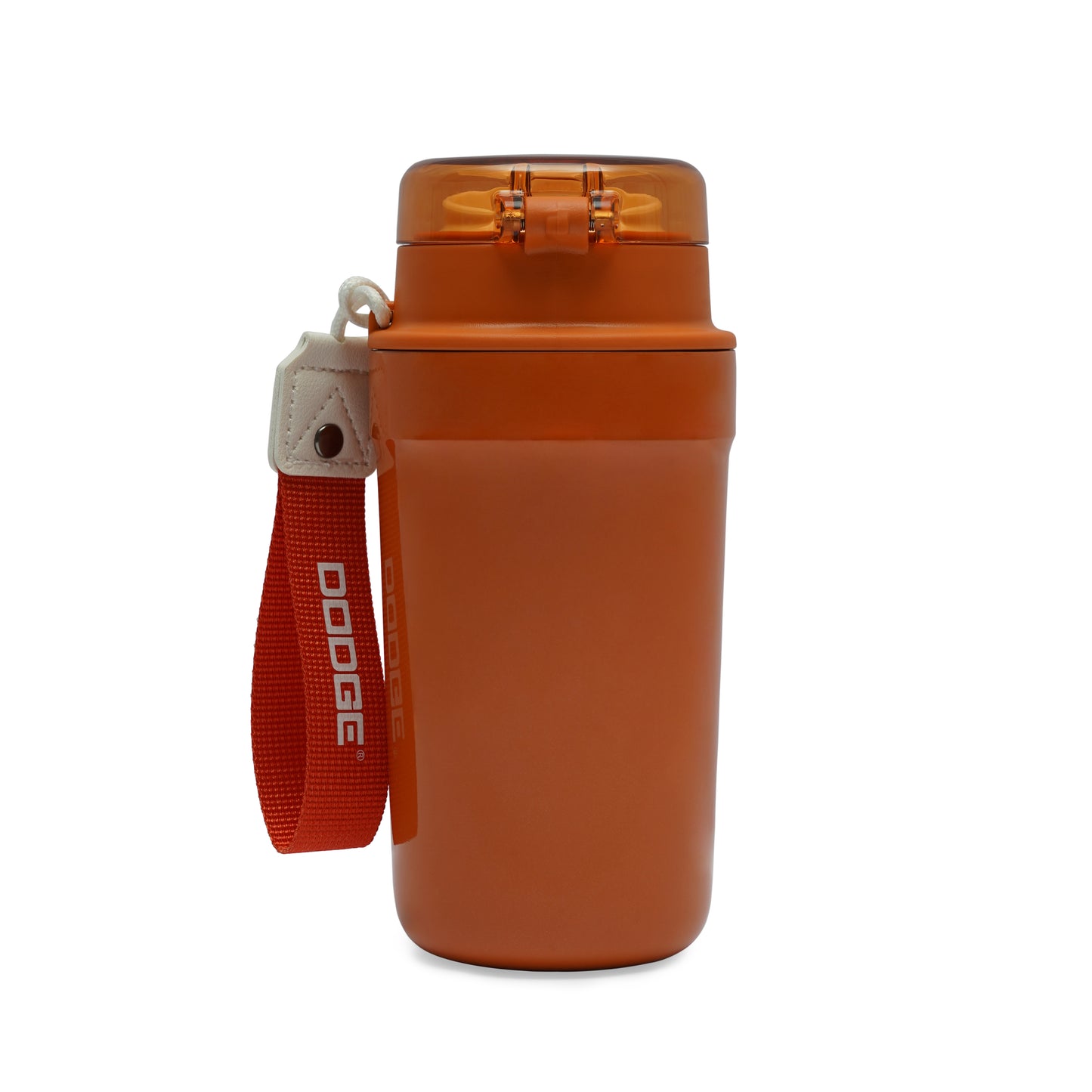 Dodge Pro Steel Finish